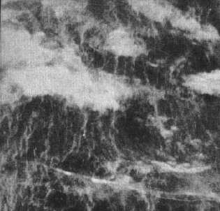 Sea surface in typhoon