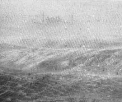 Sea Surface in a Typhoon