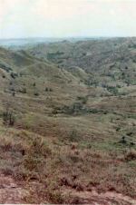 Guam scenes on hike to Tarzan falls