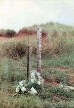 Guam scenes on hike to Tarzan falls