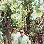 Guam scenes on hike to Tarzan falls