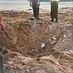 b_taylor_detc_13_tn.jpg. 