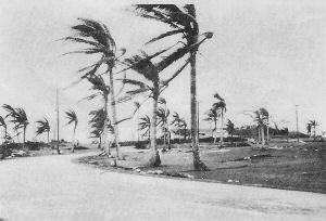 FLAG CIRCLE was once a picturesque and beautiful tropic compound for the housing of senior officers. Following Karen the homes are a shambles.