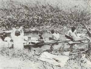 Tyhoon Karen aftermath, Guamanians doing laundry at Agana Springs.