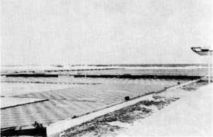 Club Breakers.. Tyhoon Karen aftermath,