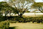 manila_american_cemetery1_r1
