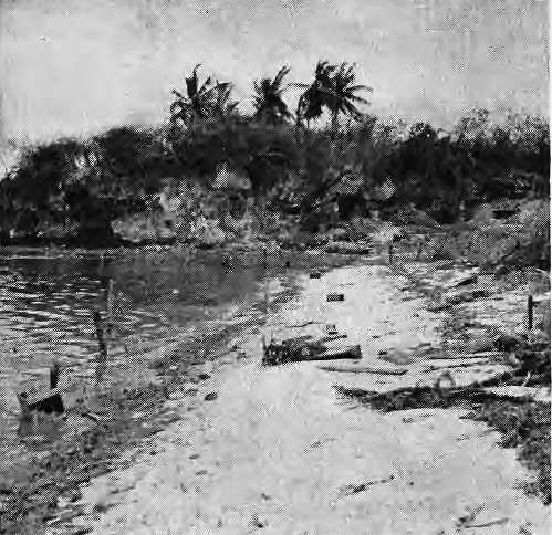 strong point on Dadi Beach