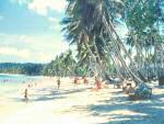Tumon Beach1 1950's_r1.jpg