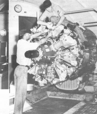 vw-1-10th-anniversary007b